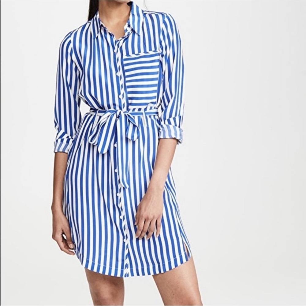 AYR Society Silk Dress Blue & White Stripe
